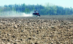 В нынешнем году аграриям придется притормозить. Фото: Константин Мельницкий В нынешнем году аграриям придется притормозить. Фото: Константин Мельницкий