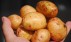 Почему мы варим украинский борщ с египетским картофелем?