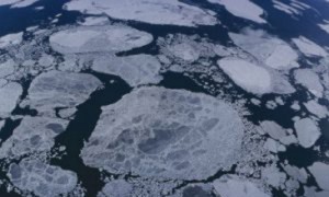 Правительства многих стран в скором времени столкнутся с необходимостью тратить значительные средства на защиту от природных катастроф, в первую очередь, от наводнений