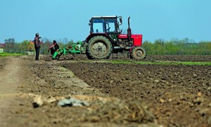 Реформирование фиксированного сельскохозяйственного налога затронет прежде всего крупные агрохолдинги, у которых в земельном банке есть необрабатываемые земли. Фото: Константин Мельницкий