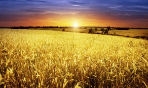 Фото Thinkstock