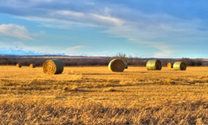 Фото Thinkstock