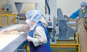 Пилотный проект добровольного страхования от несчастных случаев на производстве может быть запущен уже в 2015 г. Фото: Иван Черничкин