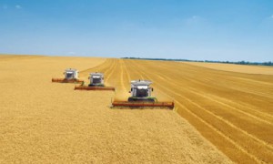 Правильно развитой страховой рынок может придать развитию агросектора колоссальное ускорение