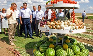 Президенту Виктору Януковичу показали, чем херсонская земля выгодно отличается от других регионов Украины Фото: МИХАИЛА МАРКИВА 