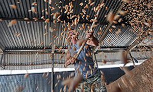 Украина не намерена разбрасываться зерном, которое может пригодиться для сохранения приемлемой цены на внутреннем рынке. Фото: Денис Вышинский / Коммерсантъ