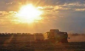 Фото: Денис Вышинский /  Коммерсантъ