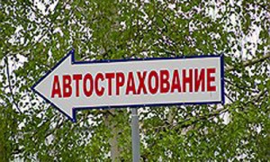 Фото: Олег Харсеев / Коммерсантъ