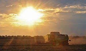 Фото: Денис Вышинский / Коммерсантъ