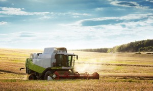 Фото Thinkstock