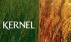 Kernel занял $170 млн у Альфа-банка