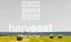 Агрохолдинг HarvEast решил сократить земельный банк