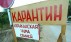 Сбербанк обяжет заемщиков страховаться от африканской чумы свиней